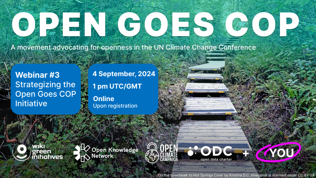 Come and strategise with us at the 3rd OPEN GOES COP&nbsp;webinar